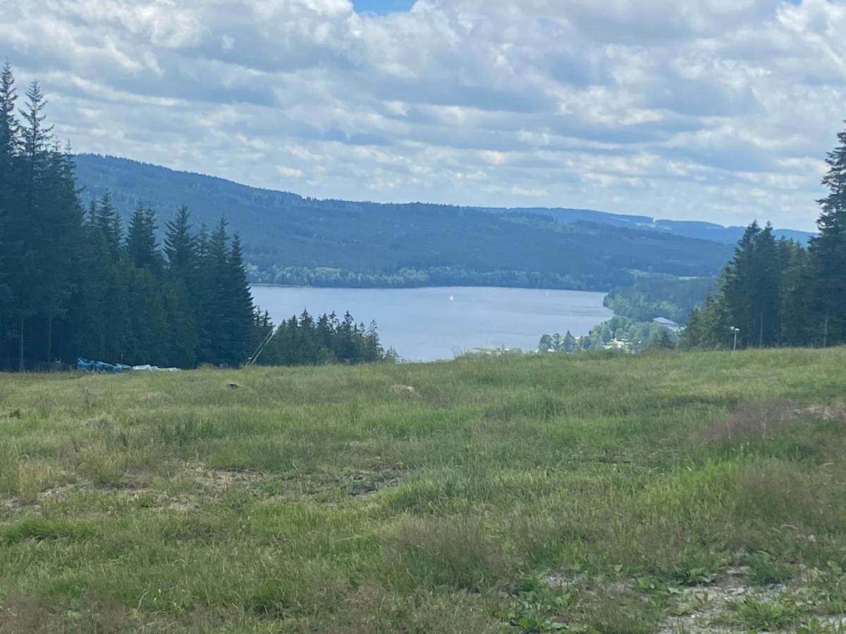 Lipno Port Apartment A103 Lipno nad Vltavou Eksteriør billede