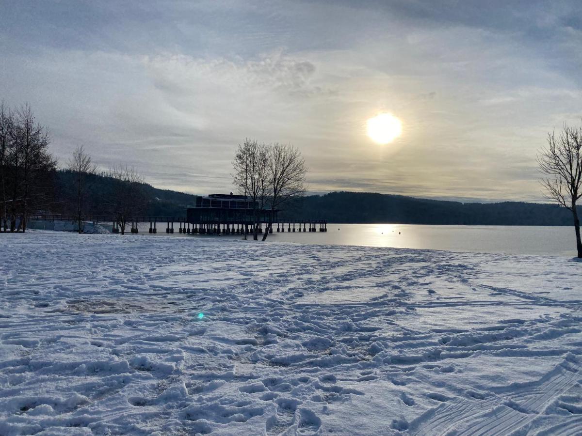 Lipno Port Apartment A103 Lipno nad Vltavou Eksteriør billede